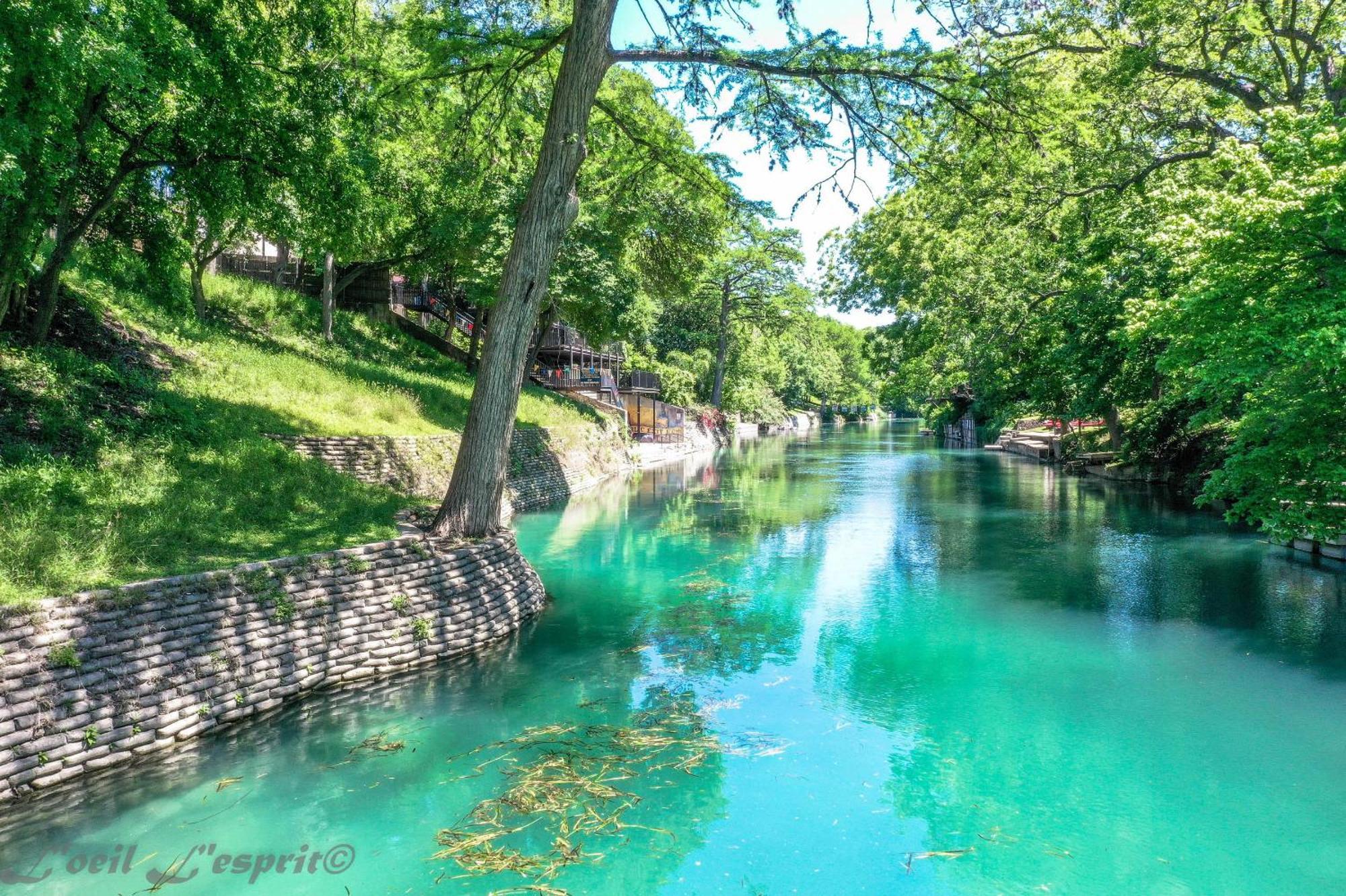 The Iron Cactus Condo On The Comal Cw C102 New Braunfels Extérieur photo